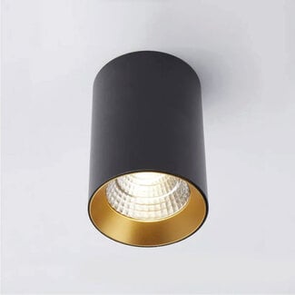 Lighting Collection Plafondlamp Lyra Zwart/Goud