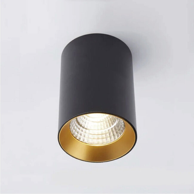 Lighting Collection Plafondlamp Lyra Zwart/Goud