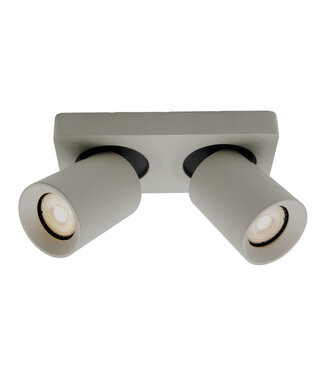 Artdelight Moderne Plafondlamp 2-lichts Zijdegrijs