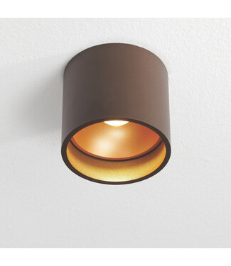 Artdelight Moderne Plafondspot Bruin/Koper incl. LED