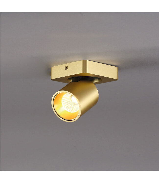Design Plafondlamp 1-lichts Goud incl. LED - Artdelight Laguna