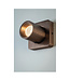 Design Ceiling Light 1-light Bronze incl. LED - Artdelight Laguna