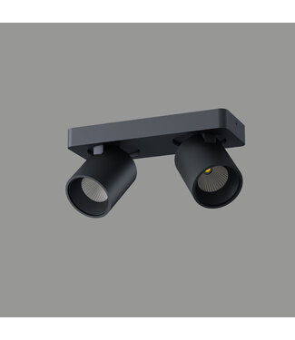 Artdelight Design Deckenleuchte 2-flammig Schwarz inkl. LED