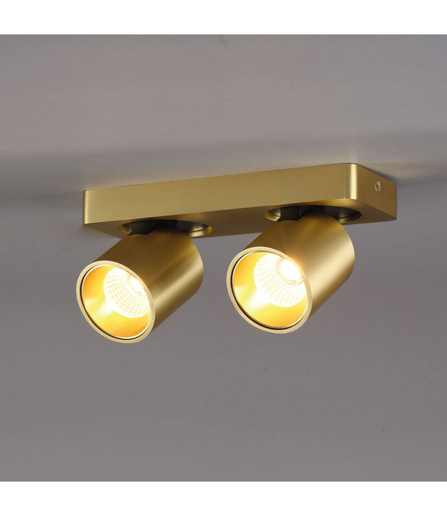 Design Ceiling Light 2-light Gold incl. LED - Artdelight Laguna