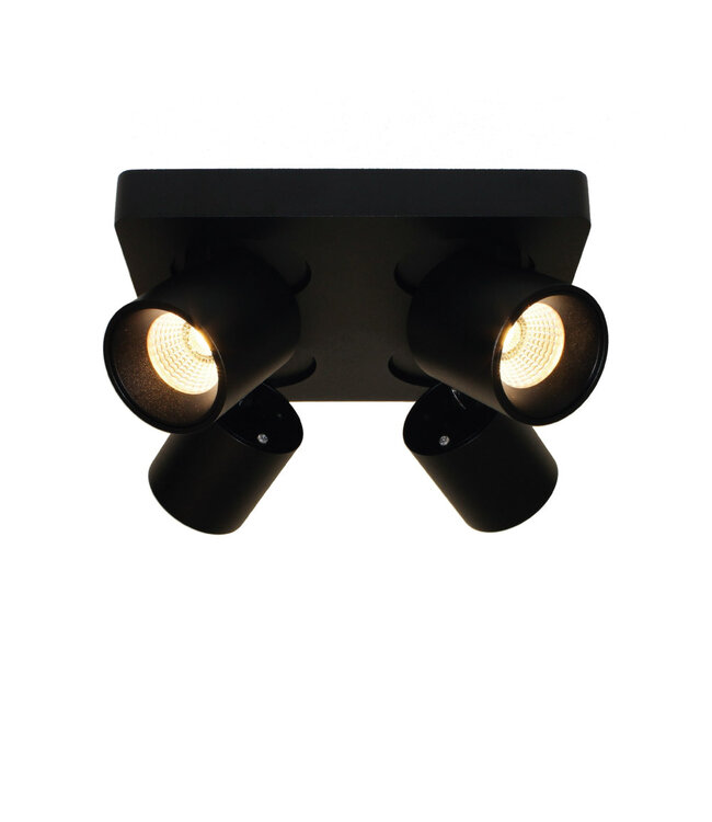 Design Plafondlamp 4-lichts Zwart incl. LED - Artdelight Laguna
