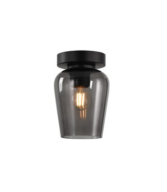 Artdelight Glazen Plafondlamp Ø12,5cm Rookglas