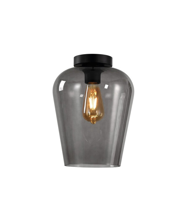 Glazen Plafondlamp Ø23cm Rookglas - Artdelight Tombo
