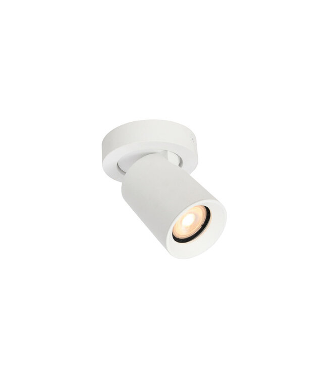 Industriële Ronde Plafondlamp 1-lichts Wit - Artdelight Megano