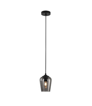 Artdelight Glazen Hanglamp Ø12,5cm Rookglas