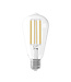 Dimbare E27 Lichtbron Transparant Rustiek | 3,5 Watt | 250lm | 2100 Kelvin - Calex