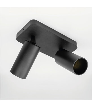 HELDR! Industriële Plafondlamp 2-lichts Zwart