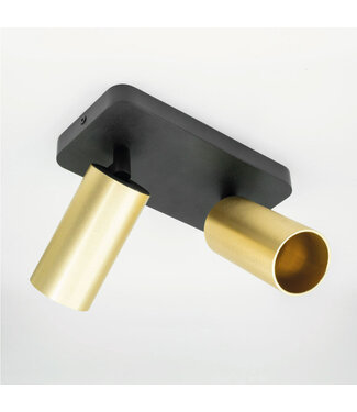 HELDR! Industrial Ceiling Light 2-light Black/Gold
