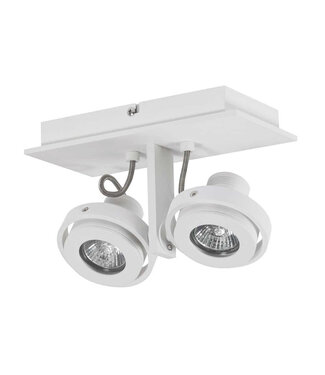 Artdelight Industrial Ceiling Spotlight 2-light White
