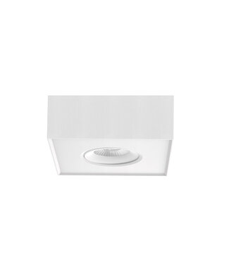 Artdelight LED Ceiling Spotlight with Dim to Warm 1-light White