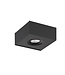LED Ceiling Spotlight with Dim to Warm 1-light Black - Artdelight Brooklyn