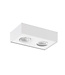LED Ceiling Spotlight with Dim to Warm 2-light White - Artdelight Brooklyn