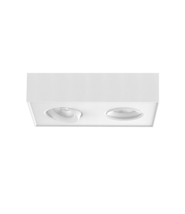 LED Ceiling Spotlight with Dim to Warm 2-light White - Artdelight Brooklyn