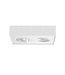 LED Ceiling Spotlight with Dim to Warm 2-light White - Artdelight Brooklyn
