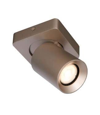 Artdelight Moderne Plafondlamp 1-lichts Champagne