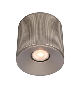 Artdelight Industriële Ronde Plafondlamp Champagne