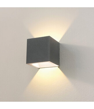 Artdelight Robuuste Grijze Buitenlamp incl. LED