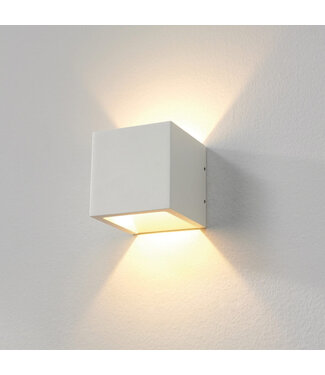 Artdelight Robuuste Witte Buitenlamp incl. Dim to Warm