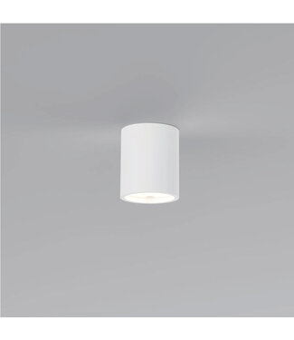 Artdelight Overschilderbare Ronde Plafondlamp van Gips