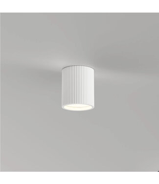 Artdelight Overschilderbare Ronde Plafondlamp van Gips