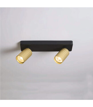 Lighting Collection Moderne Design Spot 2-lichts Zwart/Goud