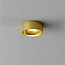 Ronde LED Plafondlamp IP54 Goud | Artdelight Oran