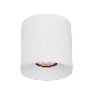 Artdelight Industriële Plafondlamp met GU10 fitting Wit | Artdelight Costa