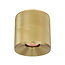 Industriële Plafondlamp met GU10 fitting Goud | Artdelight Costa