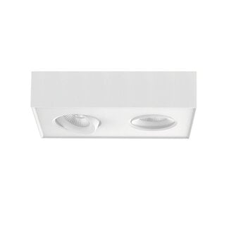 Artdelight 2-lichts Industriële LED Opbouwspot Wit | Artdelight Brooklyn 2L