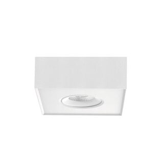 Artdelight 1-lichts Industriële LED Opbouwspot Dim to Warm Wit | Artdelight Brooklyn 1L