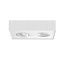 2-lichts Industriële LED Opbouwspot Dim to Warm Wit | Artdelight Brooklyn 2L