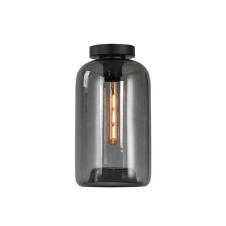 Artdelight Moderne Glazen Design Plafondlamp met E27 Rookglas | Artdelight Botany