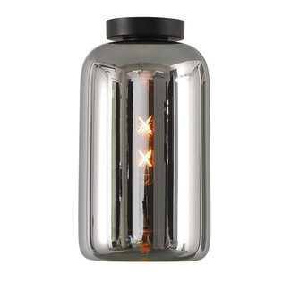 Artdelight Moderne Glazen Design Plafondlamp met E27 Chroom | Artdelight Botany