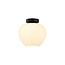 Landelijke Glazen Plafondlamp 24cmØ met E27 Melkglas | Artdelight Windsor