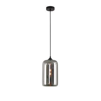 Artdelight Moderne Glazen Design Hanglamp met E27 Chroom | Artdelight Botany