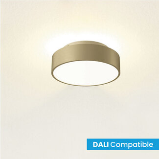 Artdelight Dali Moderne LED Plafondlamp 25cmØ Warm Goud | Artdelight Chicago 250