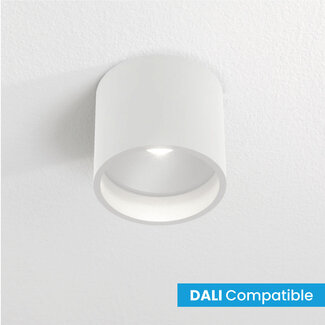 Artdelight Dali Industriële LED Plafondlamp Wit | Artdelight Orleans
