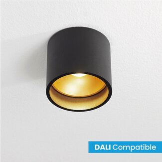 Artdelight Dali Industriële LED Plafondlamp Zwart/Mat Goud | Artdelight Orleans