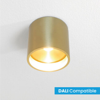 Artdelight Dali Industriële LED Plafondlamp Goud | Artdelight Orleans