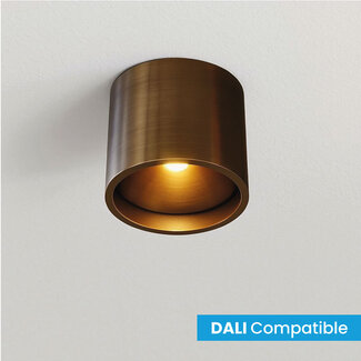 Artdelight Dali Industriële LED Plafondlamp Donker Brons | Artdelight Orleans