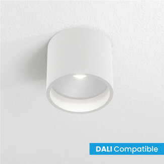 Artdelight Dali Moderne LED Opbouwspot IP54 Wit | Artdelight Ormond
