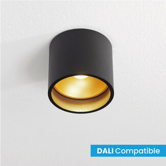 Artdelight Dali Moderne LED Opbouwspot IP54 Zwart/Mat Goud | Artdelight Ormond