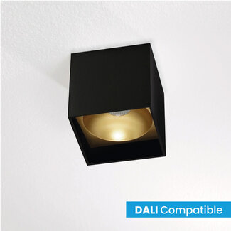 Artdelight Vierkante DALI LED Design Plafondlamp Zwart/Mat Goud | Artdelight Brock