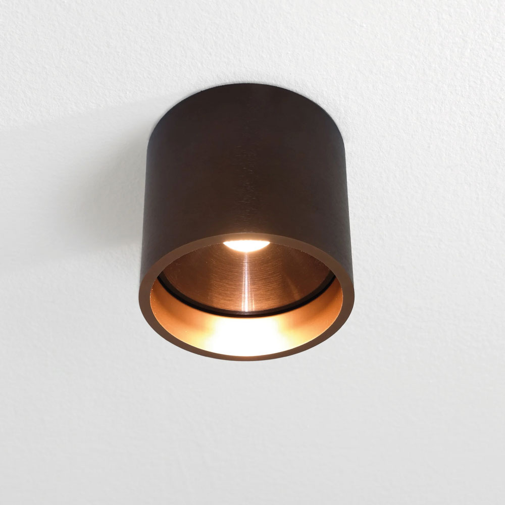 Bronzen Plafondlampen en Plafondverlichting