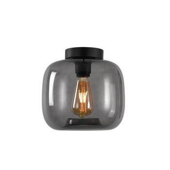 Rookglas Plafondlampen