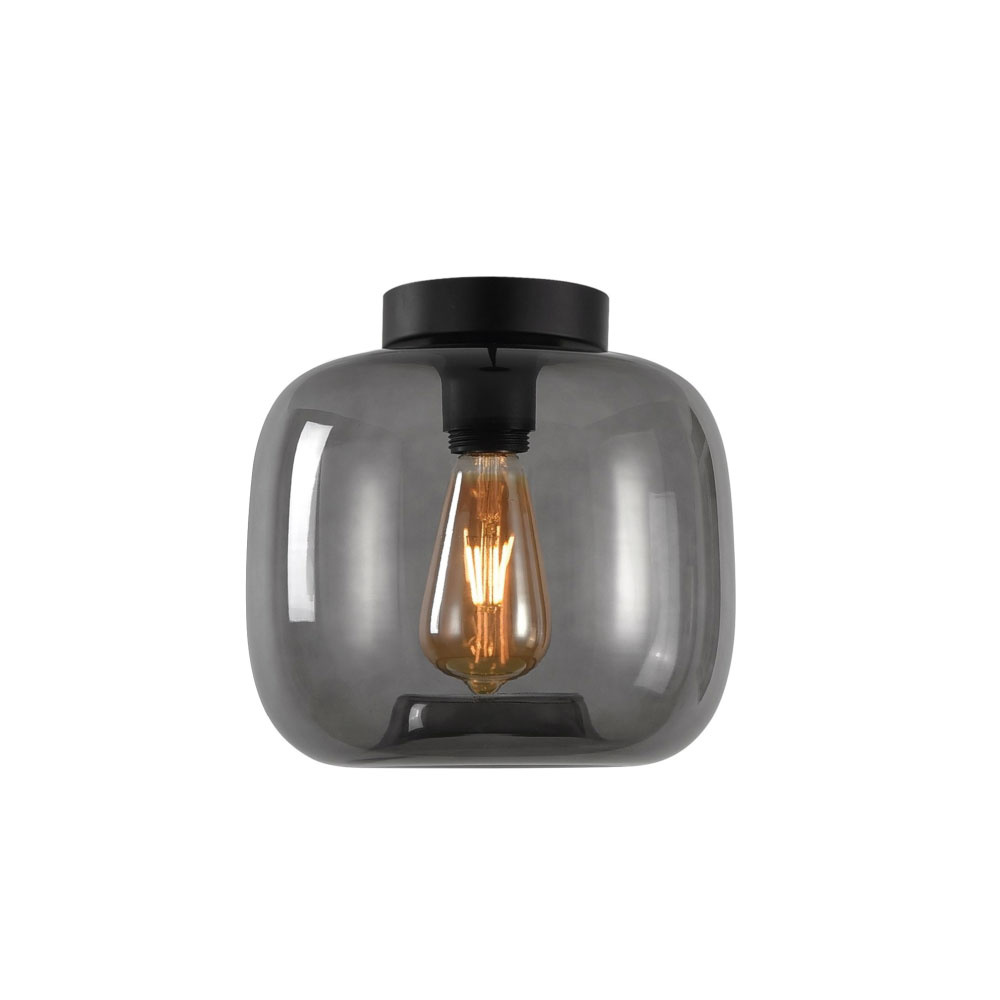 Rookglas Plafondlampen en Plafondverlichting